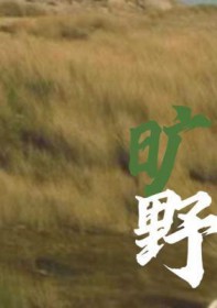 旷野之息1.9.0金手指